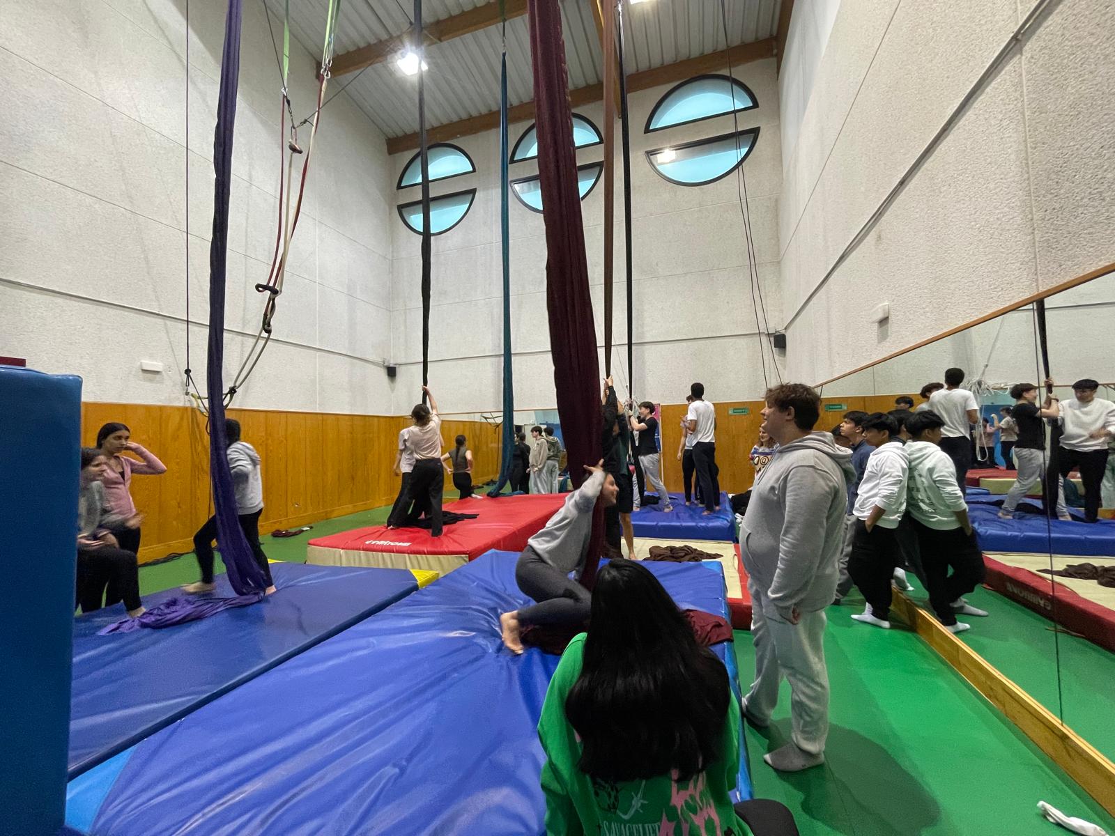 Imagen de Clases de Circo